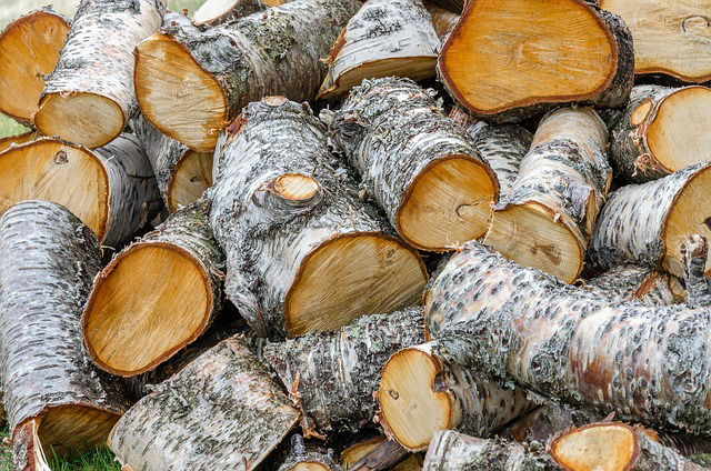 Qu'est-ce qu'un stère de bois de chauffage ?