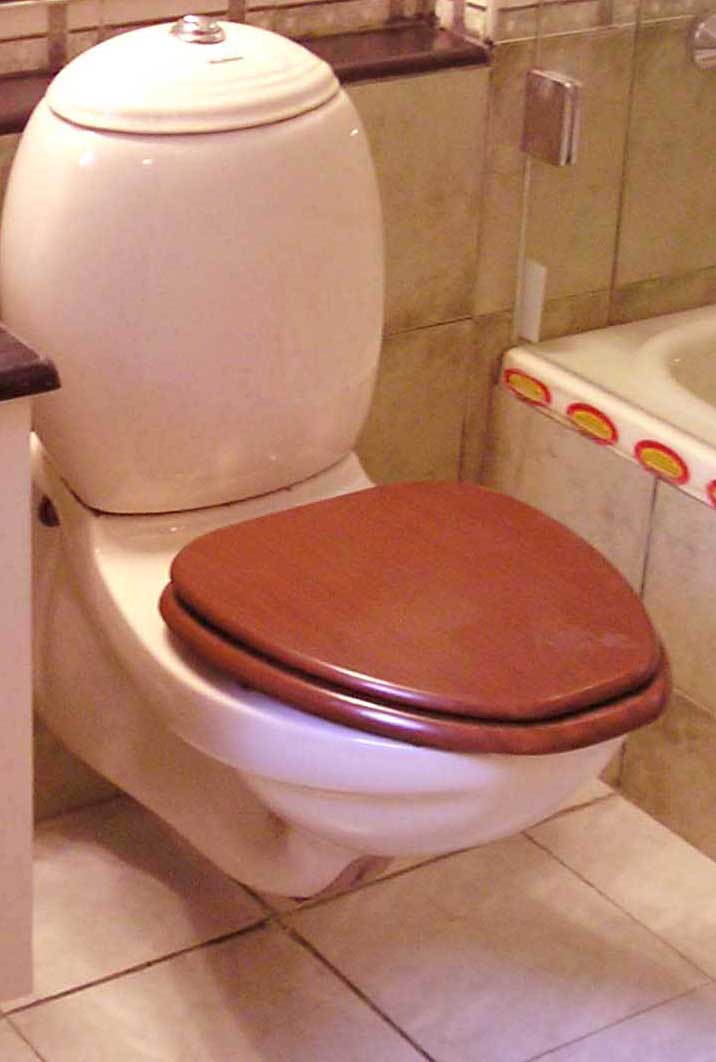 10 idées pour un abattant wc original